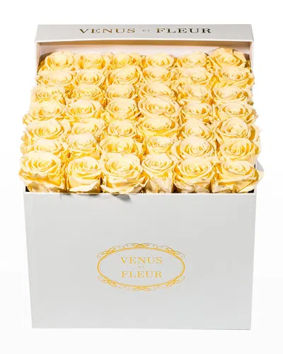 Venus Et Fleur Classic Large Square Rose Box In White