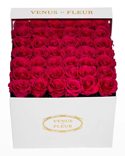 Venus Et Fleur Classic Large Square Rose Box In Red