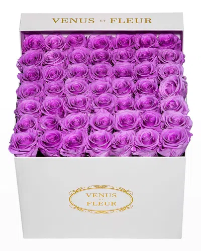 Venus Et Fleur Classic Large Square Rose Box In Lilac