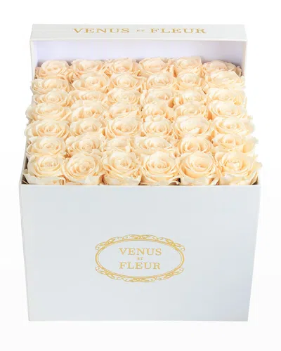 Venus Et Fleur Classic Large Square Rose Box In Pearl