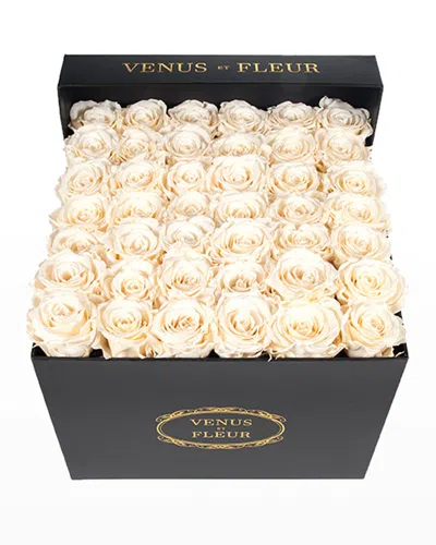 Venus Et Fleur Classic Large Square Rose Box In Pearl