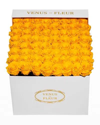 Venus Et Fleur Classic Large Square Rose Box In Yellow