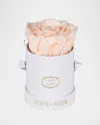 Venus Et Fleur Classic Mini Round Rose Box In Blush