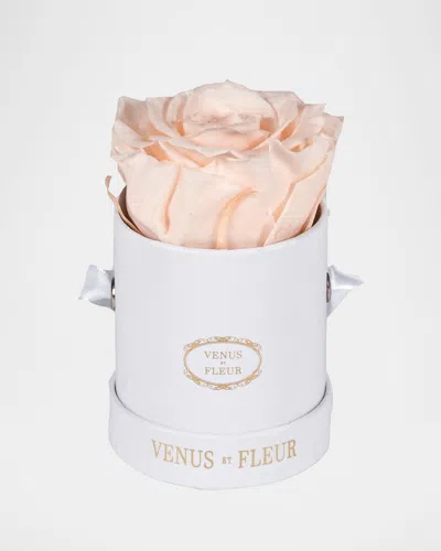 VENUS ET FLEUR CLASSIC MINI ROUND ROSE BOX