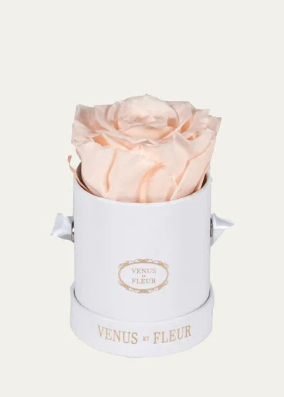Venus Et Fleur Classic Mini Round Rose Box In Blush