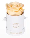 Venus Et Fleur Classic Mini Round Rose Box In Champagne