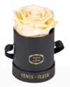 Venus Et Fleur Classic Mini Round Rose Box In Champagne