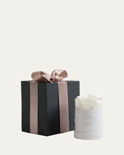 Venus Et Fleur Classic Mini Round Rose Box In Multi