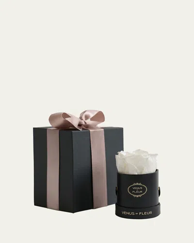 Venus Et Fleur Classic Mini Round Rose Box In Multi