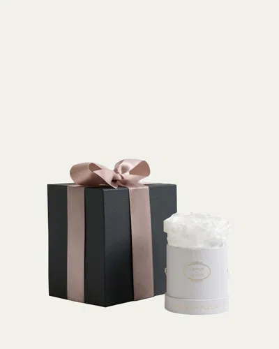 Venus Et Fleur Classic Mini Round Rose Box In Multi