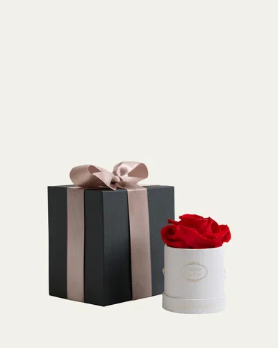 Venus Et Fleur Classic Mini Round Rose Box In Multi