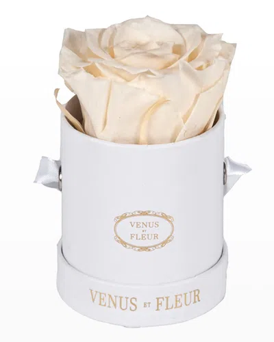 VENUS ET FLEUR CLASSIC MINI ROUND ROSE BOX