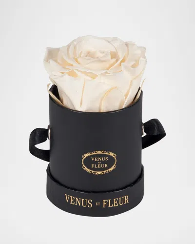 VENUS ET FLEUR CLASSIC MINI ROUND ROSE BOX