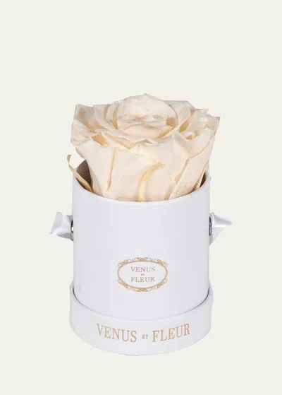 Venus Et Fleur Classic Mini Round Rose Box In Neutral