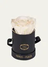 Venus Et Fleur Classic Mini Round Rose Box In Pearl