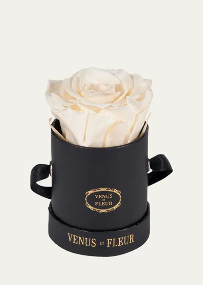 Venus Et Fleur Classic Mini Round Rose Box In Black