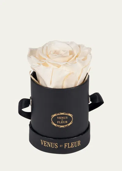 Venus Et Fleur Classic Mini Round Rose Box In Pearl