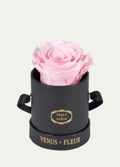 Venus Et Fleur Classic Mini Round Rose Box In Pink