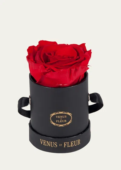 Venus Et Fleur Classic Mini Round Rose Box In Red