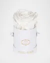 Venus Et Fleur Classic Mini Round Rose Box In White