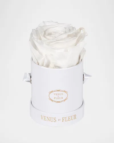 VENUS ET FLEUR CLASSIC MINI ROUND ROSE BOX