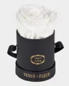Venus Et Fleur Classic Mini Round Rose Box In White
