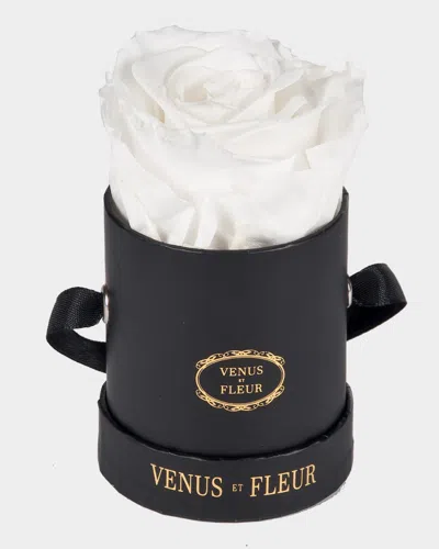 VENUS ET FLEUR CLASSIC MINI ROUND ROSE BOX