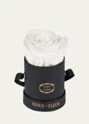 Venus Et Fleur Classic Mini Round Rose Box In White