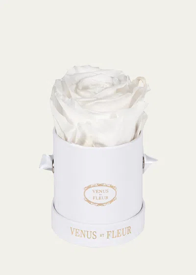 Venus Et Fleur Classic Mini Round Rose Box In White