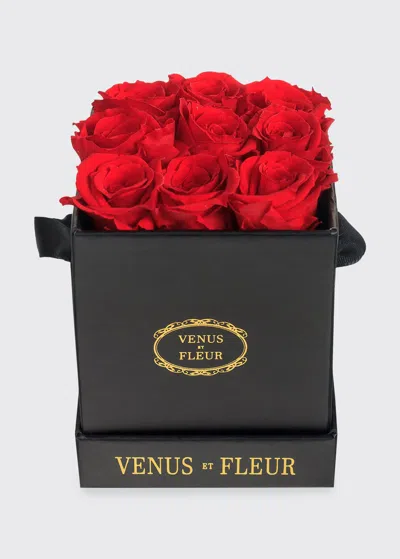 Venus Et Fleur Classic Mini Square Rose Box In Red