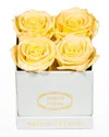 Venus Et Fleur Classic Petite Square Rose Box In Yellow