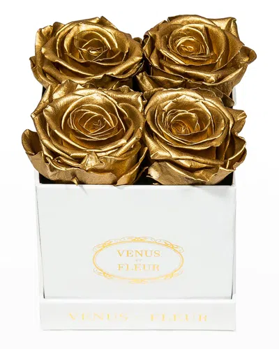 Venus Et Fleur Classic Petite Square Rose Box In Gold