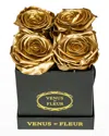 Venus Et Fleur Classic Petite Square Rose Box In Gold