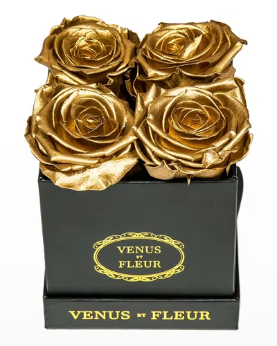 Venus Et Fleur Classic Petite Square Rose Box In Gold