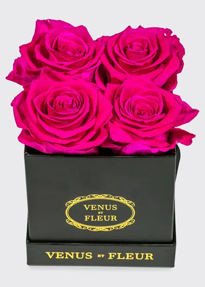 Venus Et Fleur Classic Petite Square Rose Box In Red