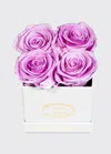 Venus Et Fleur Classic Petite Square Rose Box In Purple