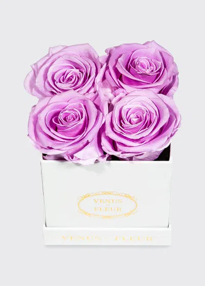 Venus Et Fleur Classic Petite Square Rose Box In Purple