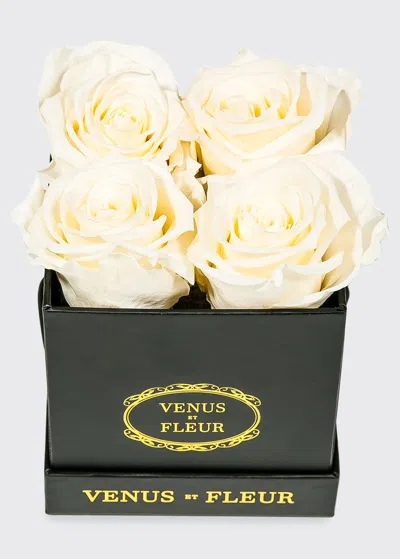 Venus Et Fleur Classic Petite Square Rose Box In Neutral