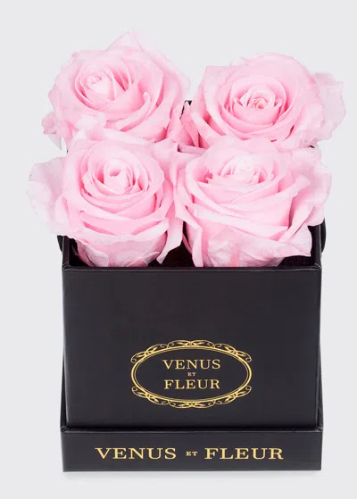 Venus Et Fleur Classic Petite Square Rose Box In Pink