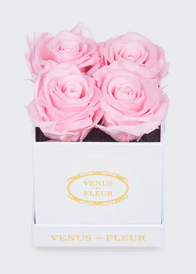Venus Et Fleur Classic Petite Square Rose Box In Pink
