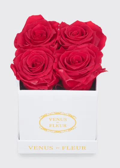 Venus Et Fleur Classic Petite Square Rose Box In Red