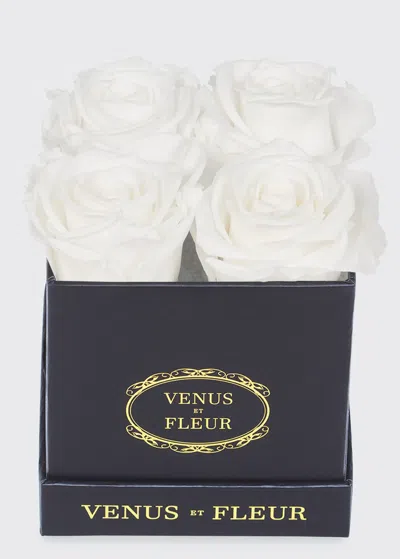 Venus Et Fleur Classic Petite Square Rose Box In White