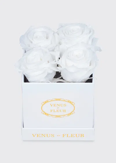 Venus Et Fleur Classic Petite Square Rose Box In White
