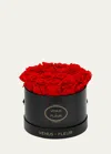 Venus Et Fleur Classic Small Round Rose Box In Red