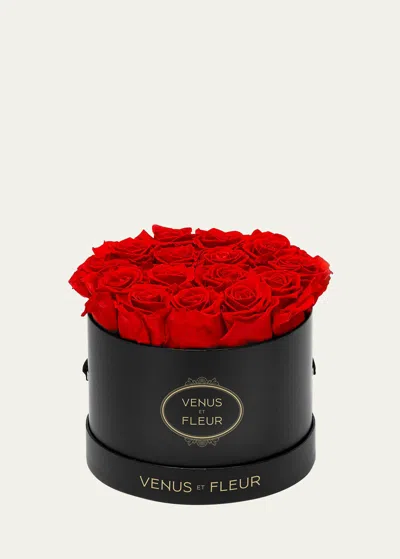 Venus Et Fleur Classic Small Round Rose Box In Red