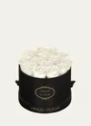 Venus Et Fleur Classic Small Round Rose Box In White