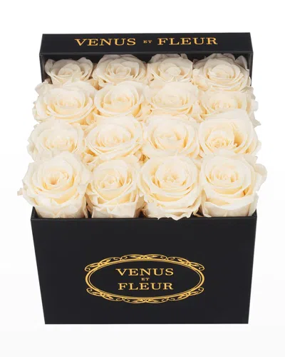 Venus Et Fleur Classic Small Square Rose Box In Pearl