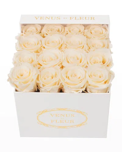 Venus Et Fleur Classic Small Square Rose Box In White