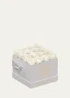 Venus Et Fleur Classic Small Square Rose Box In White