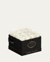 Venus Et Fleur Classic Small Square Rose Box In White